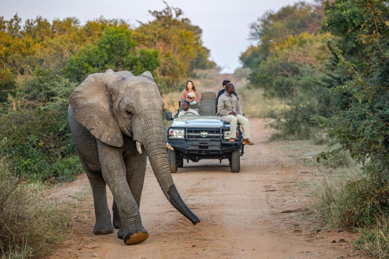 Willa Kapama Karula Kapama Game Reserve Zewnętrze zdjęcie