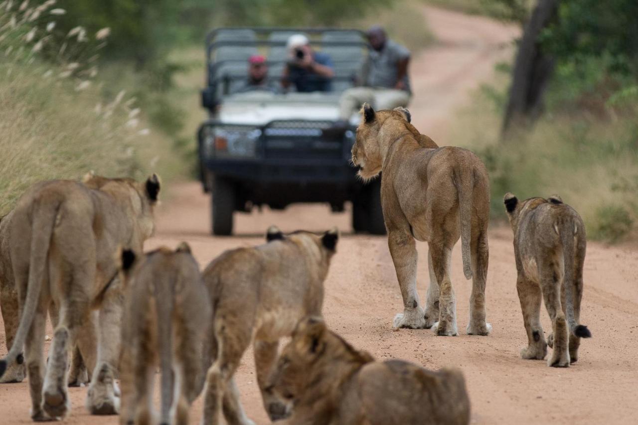 Willa Kapama Karula Kapama Game Reserve Zewnętrze zdjęcie